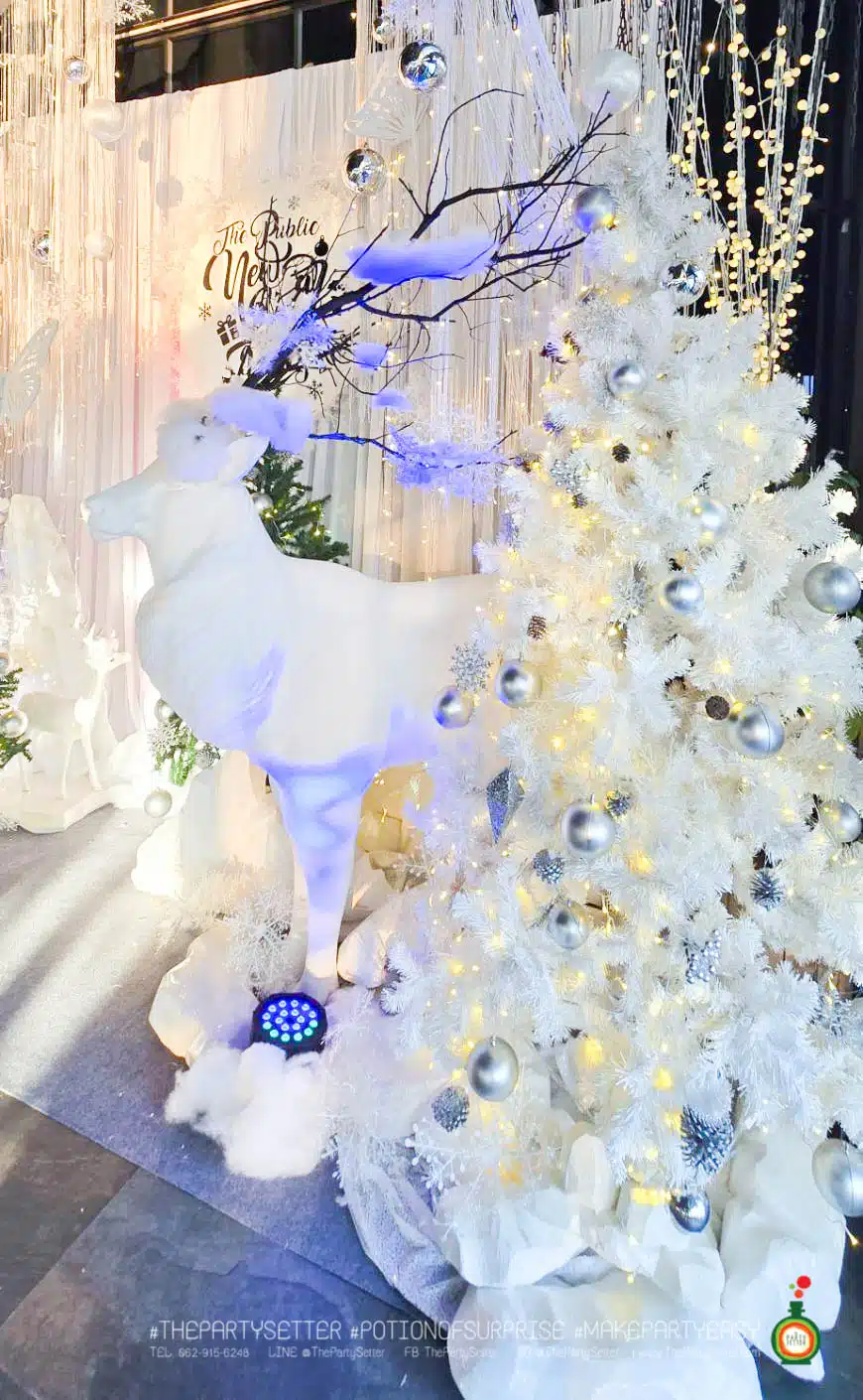 tps theme Frozen White Christmas 2026 2