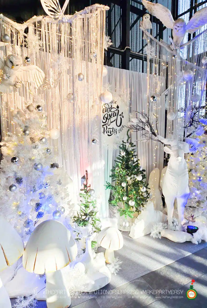 tps theme Frozen White Christmas 2026 6
