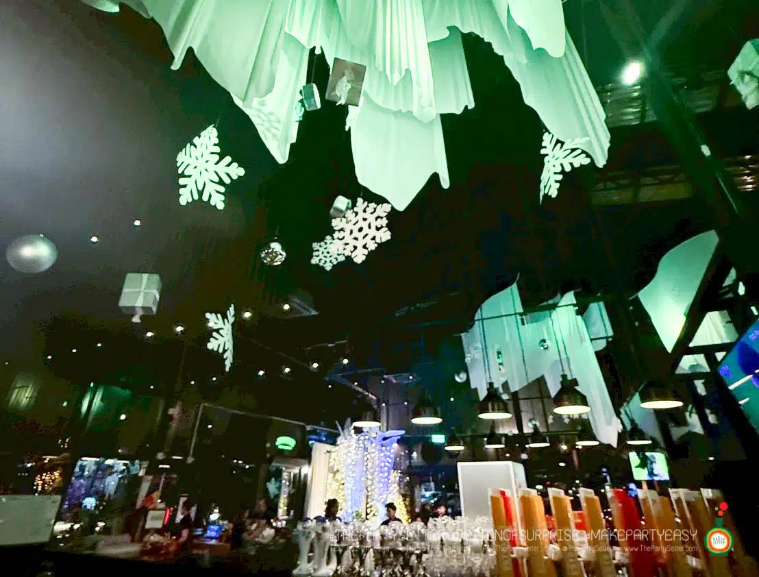 tps theme Frozen White Christmas 2026 68