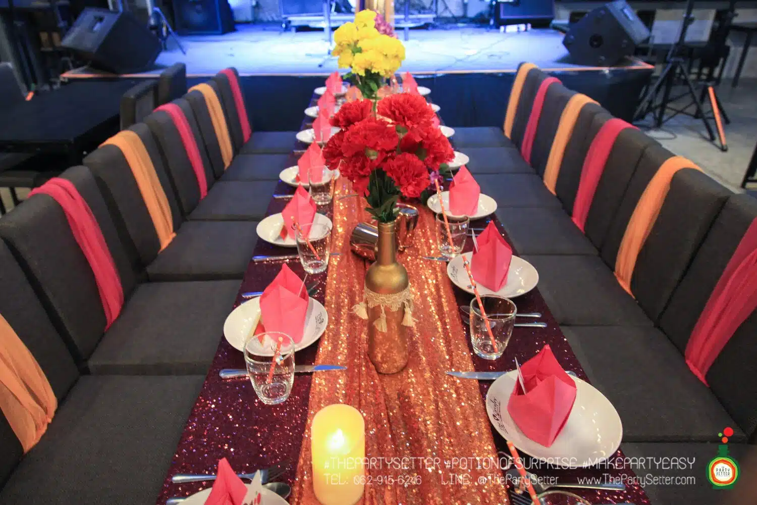 the party setter theme colorful 13