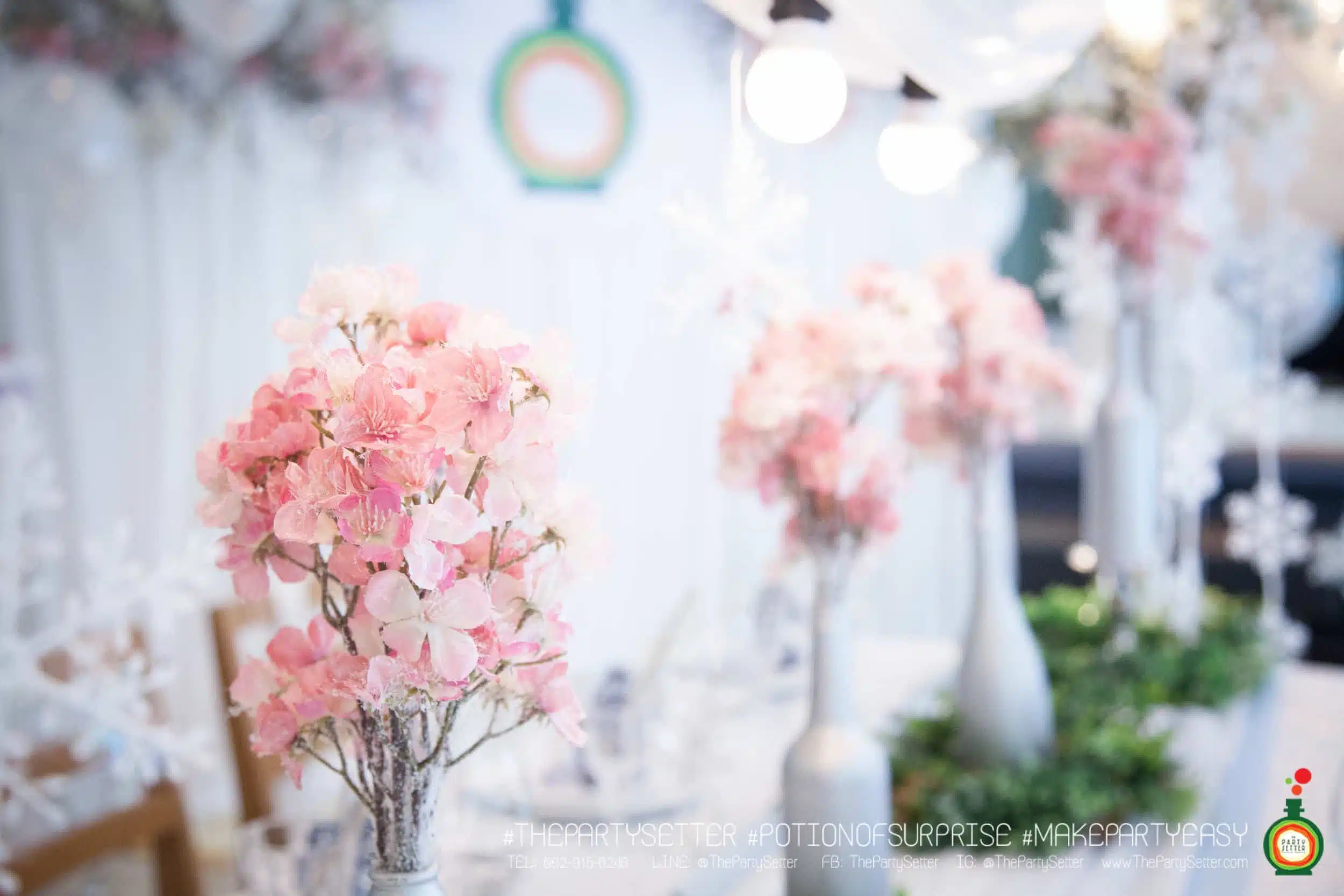 the party setter theme ice princess 28