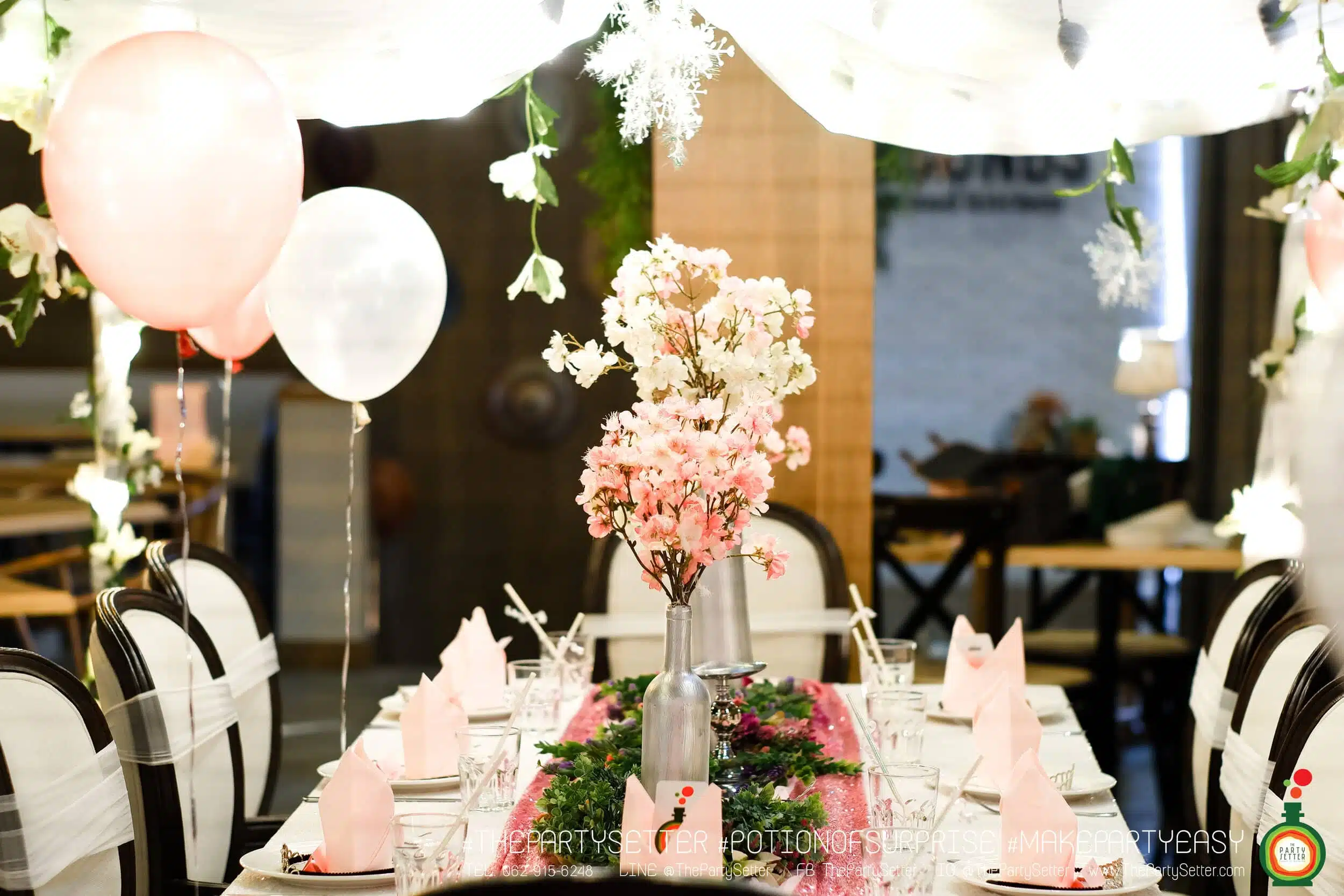 the party setter theme ice princess 5