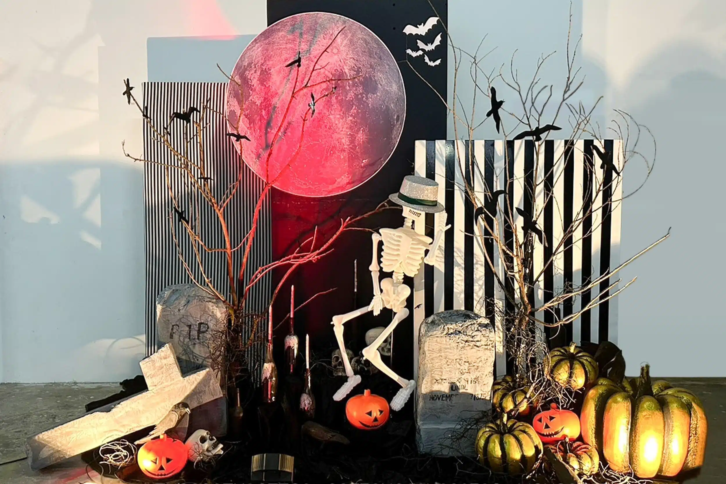TPS Backdrop Frontdrop25 8