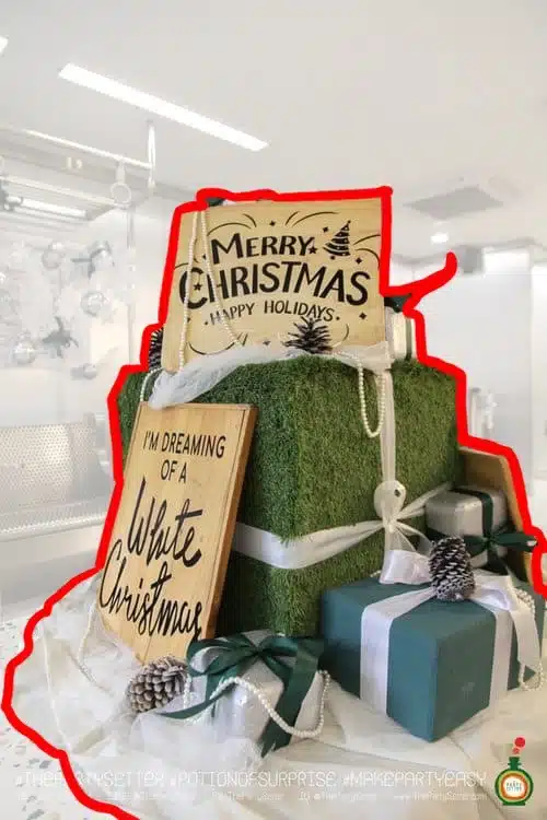 TPS Christmas for rent 2026 21