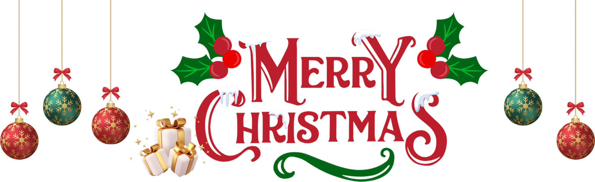 The Party Setter - Home Popup